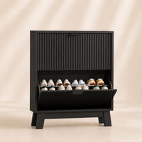 Linea Shoe Cabinet with 2 Flip Drawers