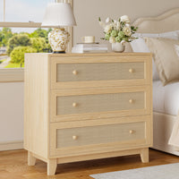 Caneva 29.5" Wide Large Rattan Nightstands with 2 Drawers