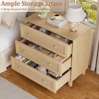 Caneva 29.5" Wide Large Rattan Nightstands with 2 Drawers