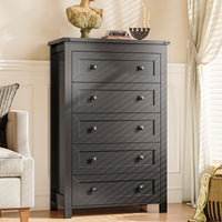 Ashford 5-Drawer Tall Dresser with Modern Bedroom Storage & Metal Handles | ANYMAPLE