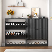 Linea 2-Door Shoes Cabinet
