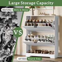 Linea 2-Door Shoes Cabinet