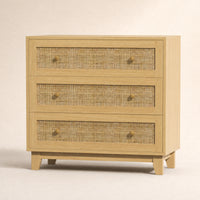 Caneva 29.5" Wide Large Rattan Nightstands with 2 Drawers